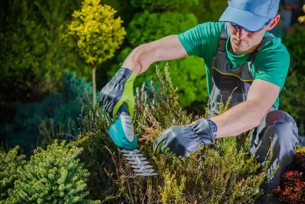 landscaping services Brownsboro Farm